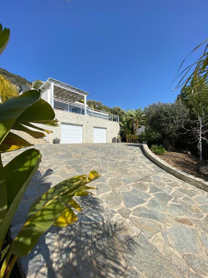 Le Loft Ajaccio (Corsica)